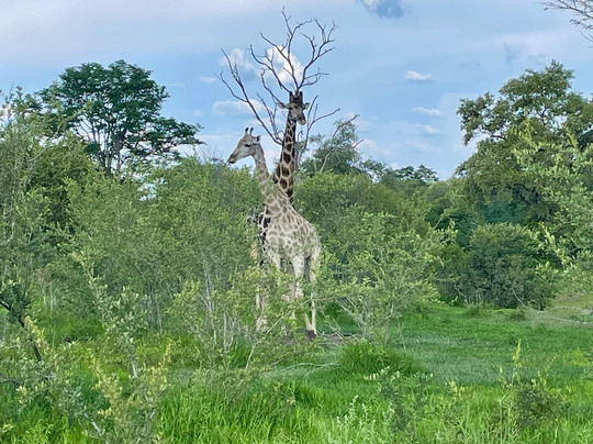 AfriVenture-维多利亚瀑布必去景点