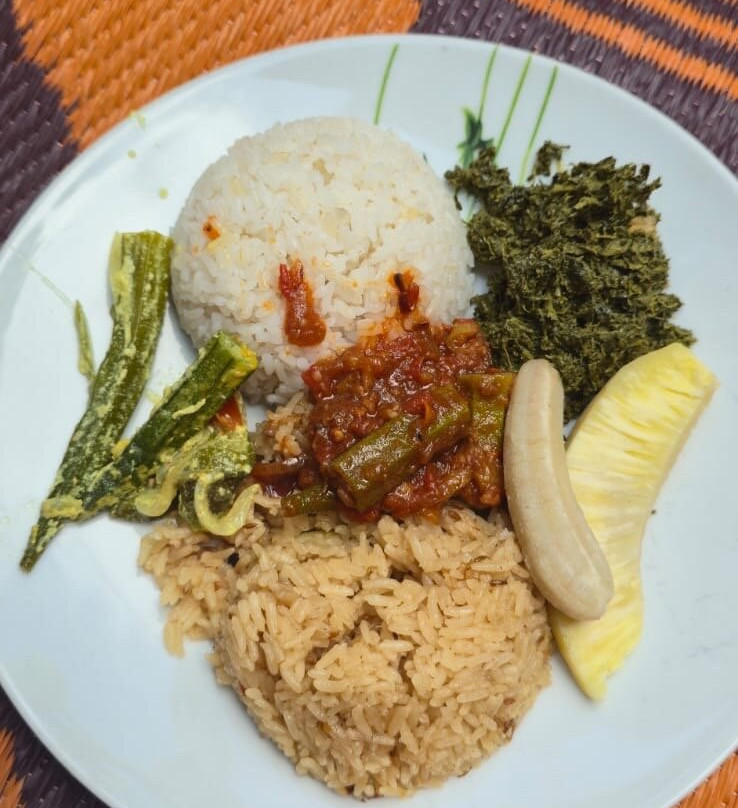 Village Green Spice farm-桑给巴尔岛必去景点