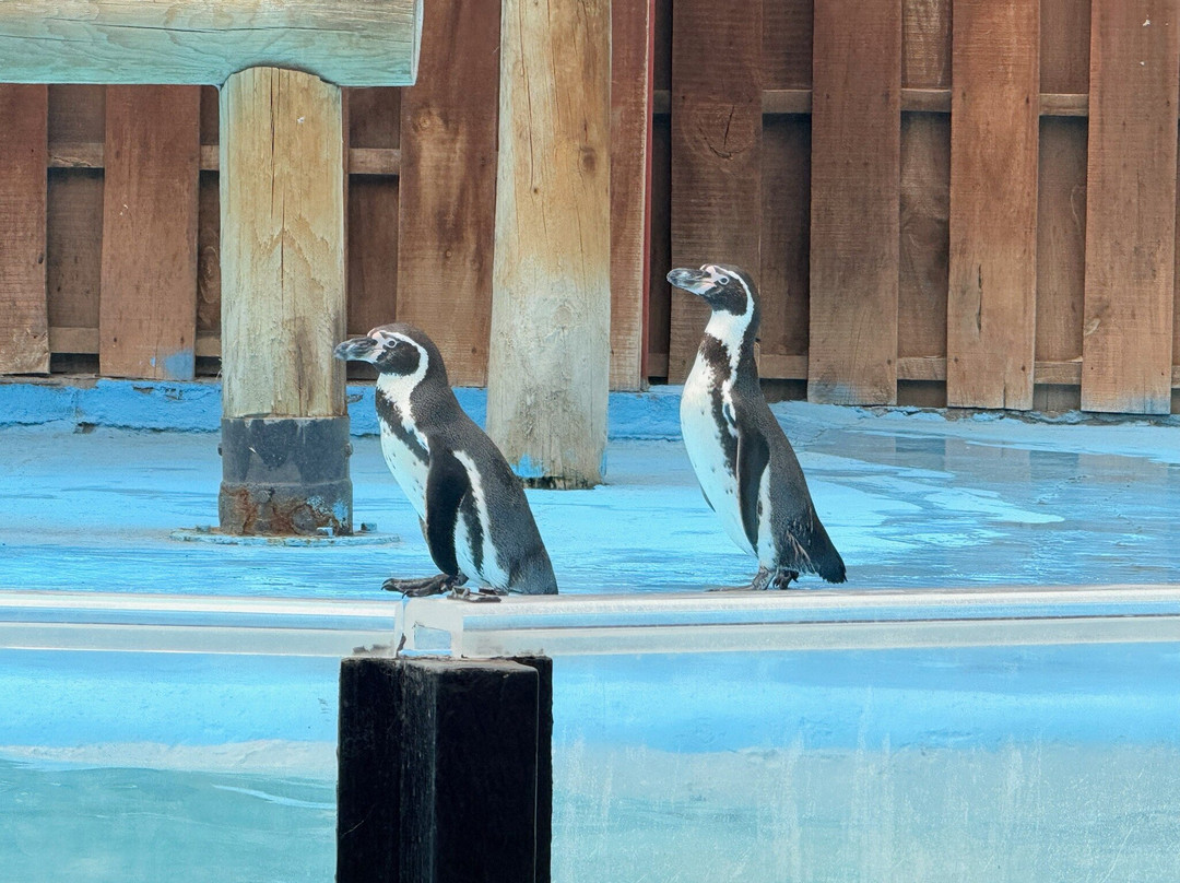 Buin Zoo-Buin必去景点