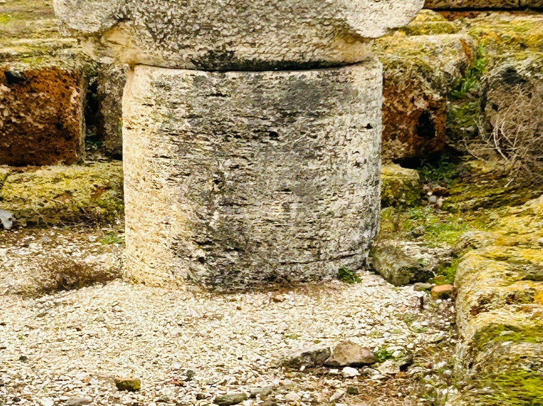 Parco Archeologico Naturalistico di Vulci-Montalto di Castro必去景点