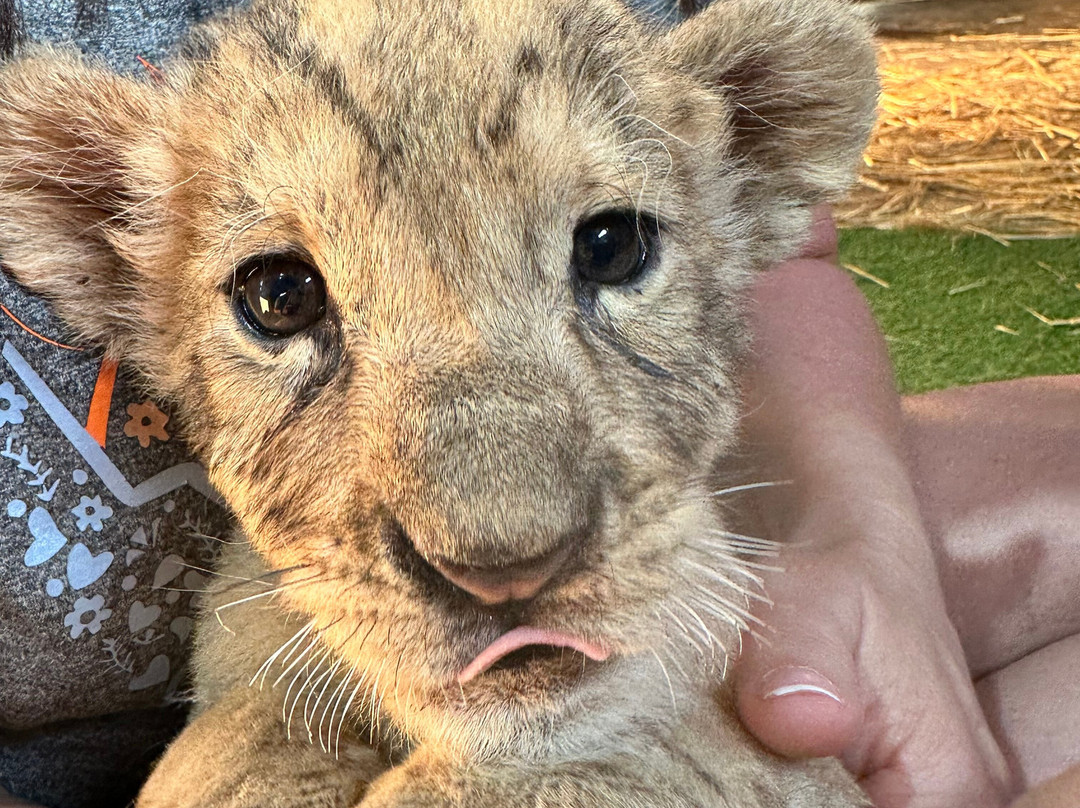 Pai Pai Ecotourism Park-恩塞纳达必去景点
