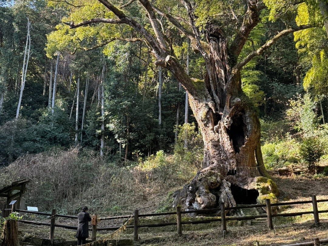 Takeo Shrine-武雄市必去景点