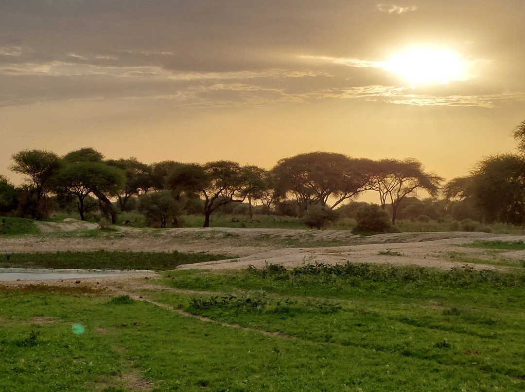 Tanzania-Experience-阿鲁沙必去景点