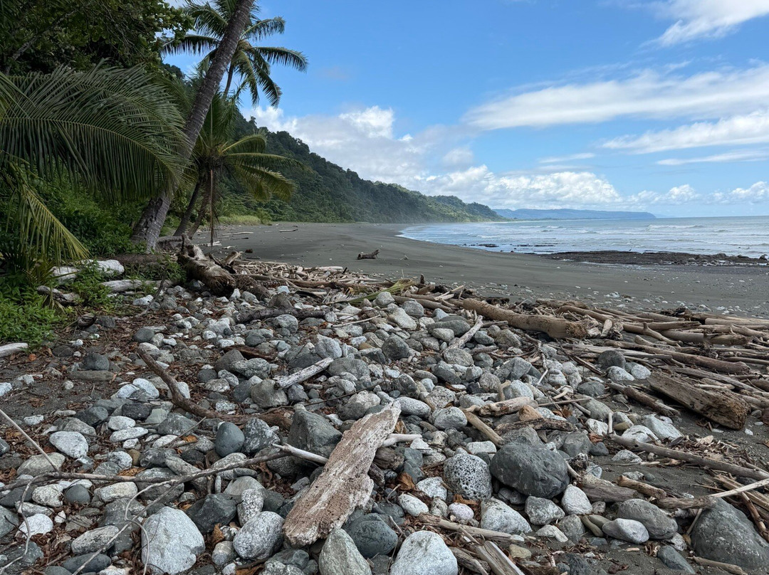 Osa Green Travel-希门尼斯港必去景点