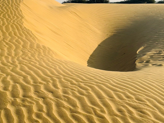 Jaisalmer Camel Safari-杰伊瑟尔梅尔必去景点