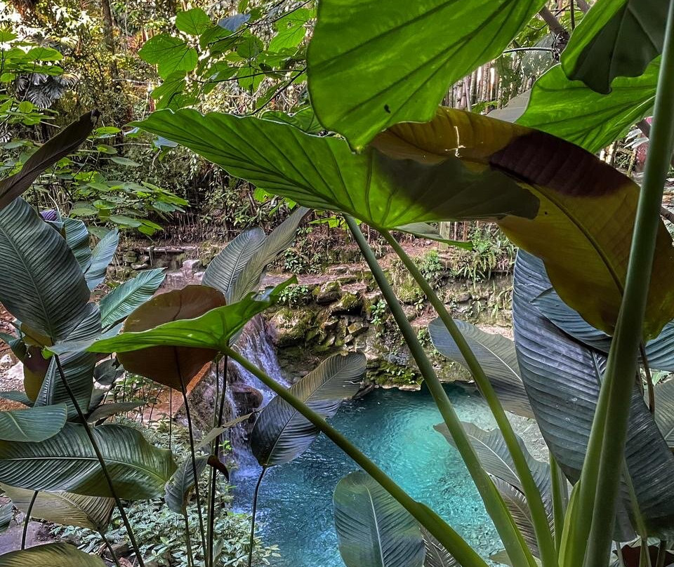 Cervecería James-Xilitla必去景点