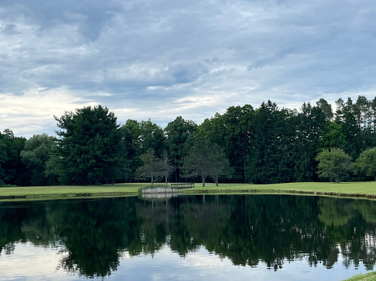 Pine Lake Manor主图