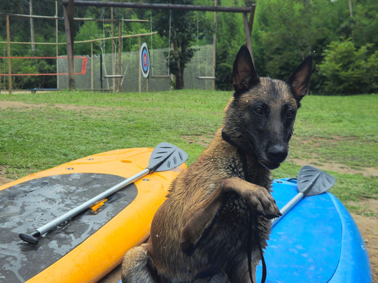 Rio Abaixo Rafting & Aventura-Juquitiba必去景点