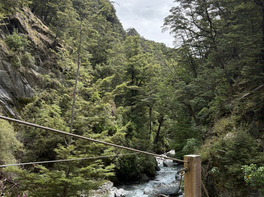 Paradise Ziplines-格伦诺基必去景点