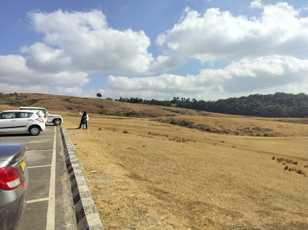 Mawphlang Sacred Forest-西隆必去景点