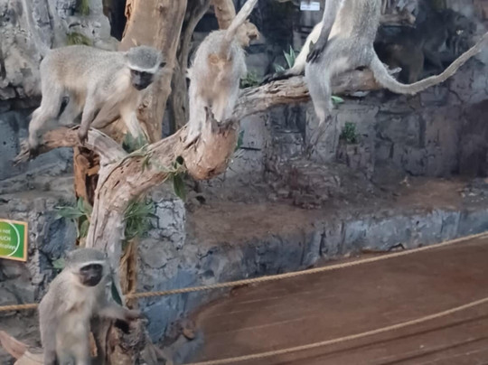 Interpretation Centre & Blyde Museum-Moremela必去景点