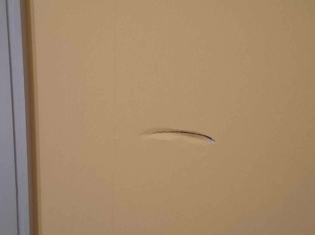 Ringhotel Zum Goldenen Ochsen主图