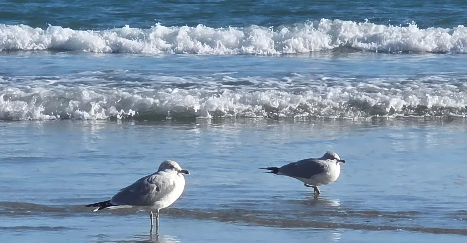 海滨度假酒店-官方