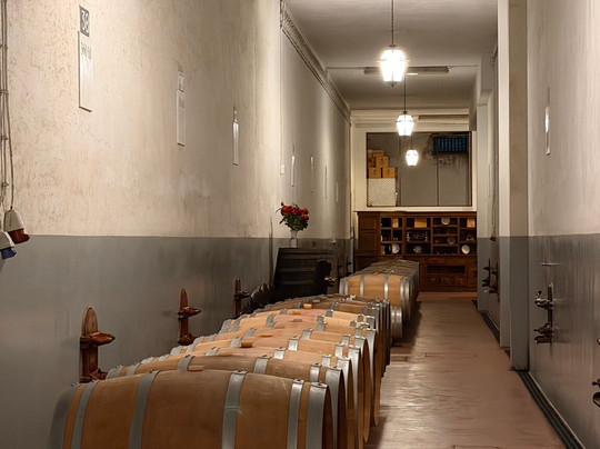 Lusovini - Vinhos de Portugal-Nelas必去景点