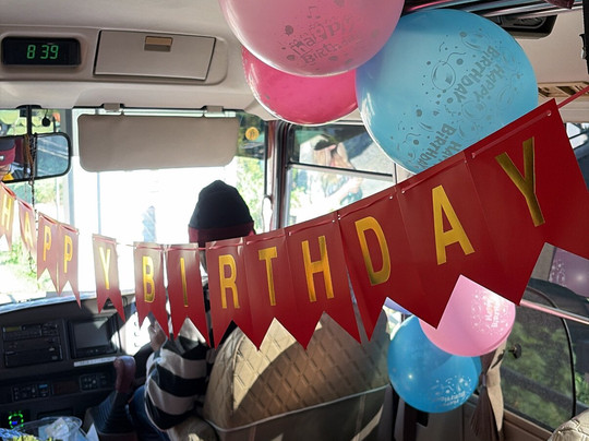 Lanka Tour Driver-Hingurakgoda必去景点