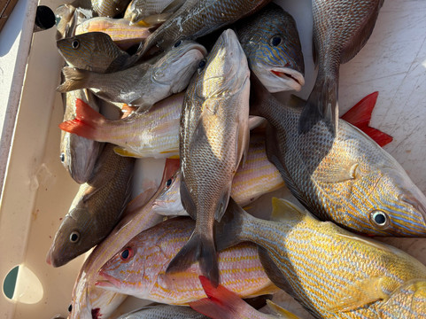 Cora Beth Fishing-基韦斯特必去景点