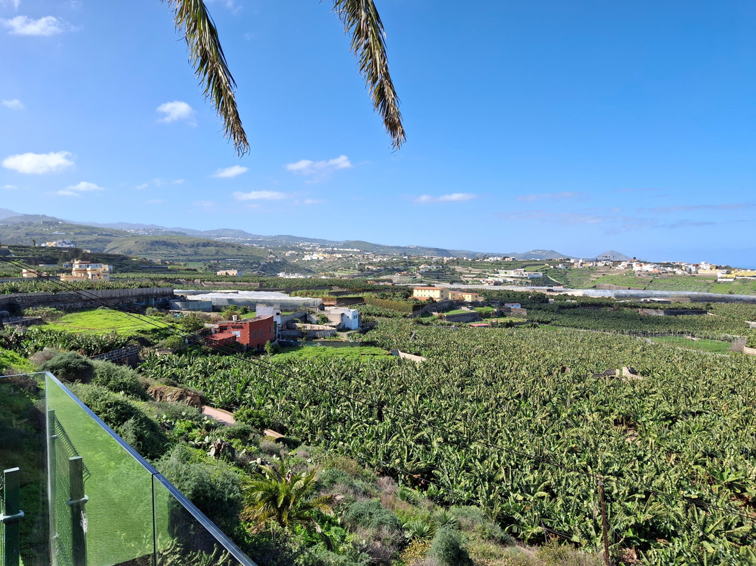 La Rekompensa Mundo del Plátano-Arucas必去景点