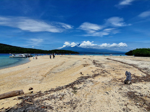 Menjangan Trip Snorkeling & Diving-Pejarakan必去景点