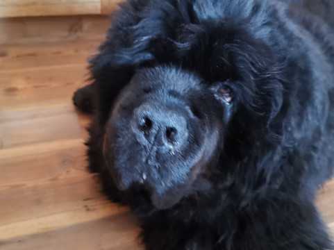 Pension Enzian主图