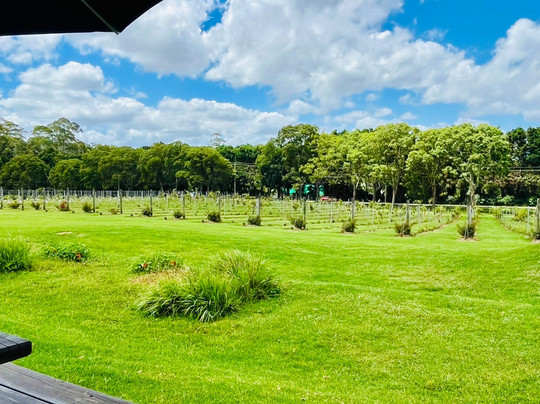 Cauldron Distillery And Estate-丹百林山必去景点
