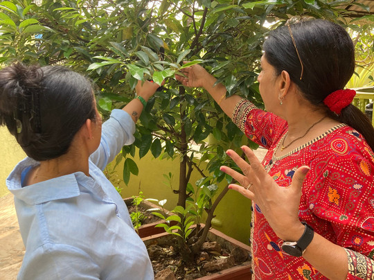 Rita's Gourmet Goa - Cooking Classes-Dabolim必去景点