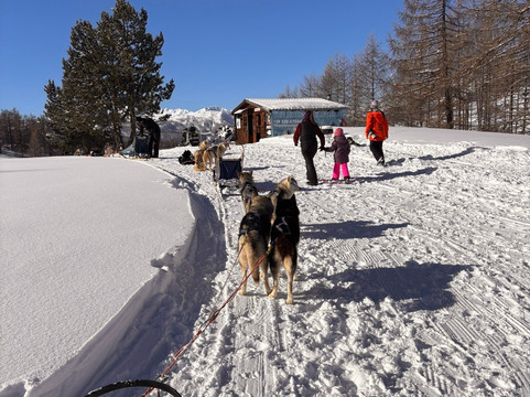 The Husky Experience Sestriere-Sestriere必去景点