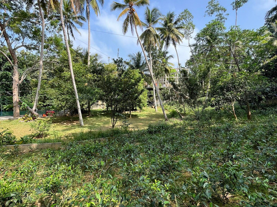 Leisure Land Villas主图