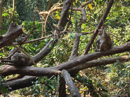 Mr. Kim's Angkor Wat Tours-暹粒必去景点