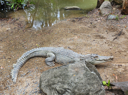 Tablelands Tours-凯恩斯必去景点