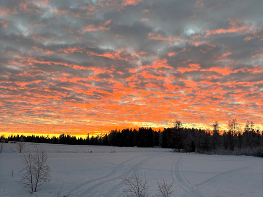 Openlappland-Amsele必去景点