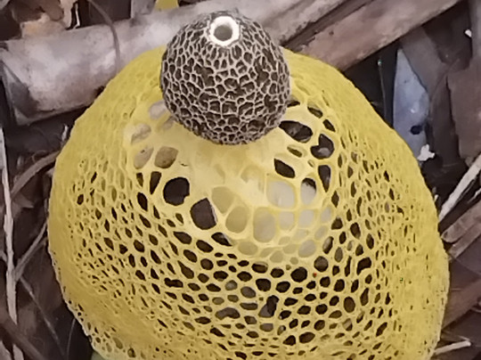 Theo Tours-安塔那那利佛必去景点