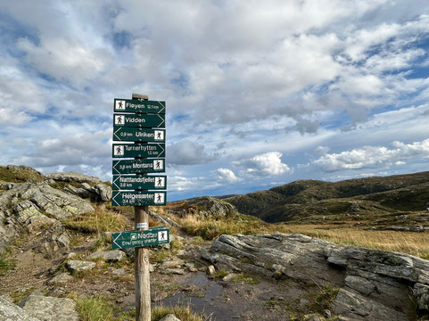 Vidden Tursti-卑尔根必去景点