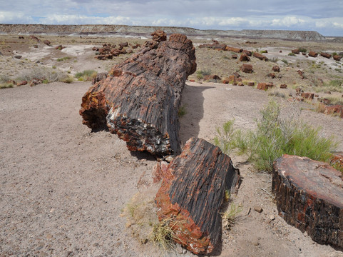 Petrified Forest National Park-霍尔布鲁克必去景点