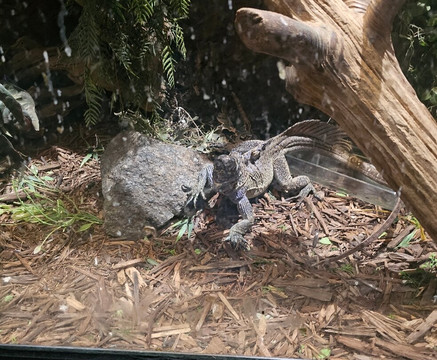 Alligator Alley Adventures-威斯康星峡谷必去景点