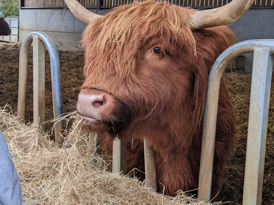 Colready Highlands-Brackley必去景点