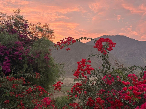 Norte Chico Tours-Barranca必去景点