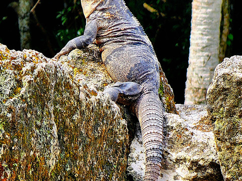 圣赫瓦西奥遗迹-考祖梅必去景点