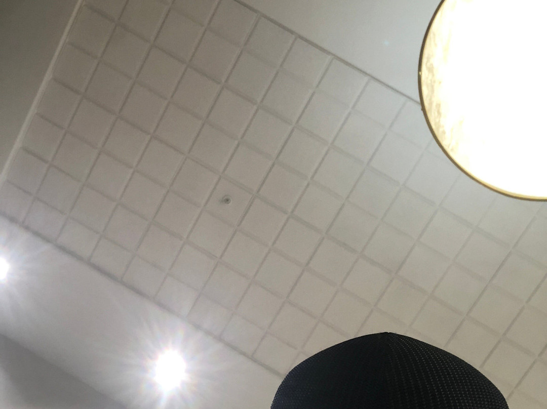 Wingate by Wyndham Edmonton West主图