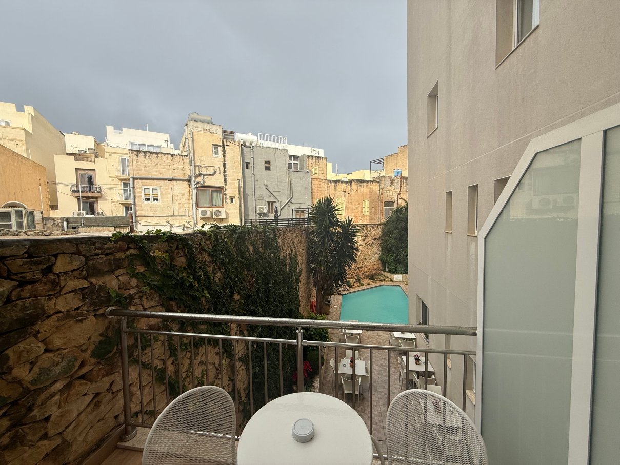 维奥莱塔宫殿酒店-泳池