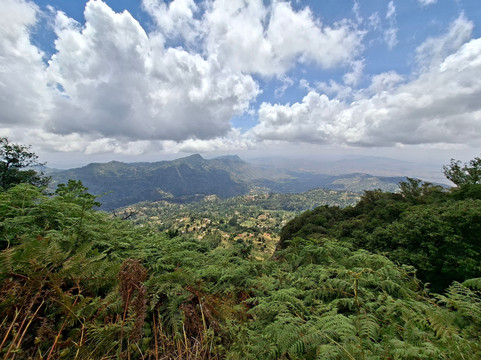 Lumo Community Wildlife Conservancy-Mwatate必去景点