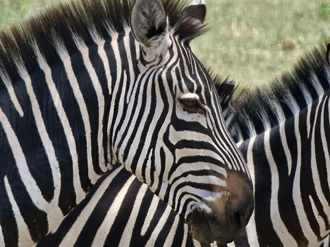 Earthlife Expeditions-阿鲁沙必去景点