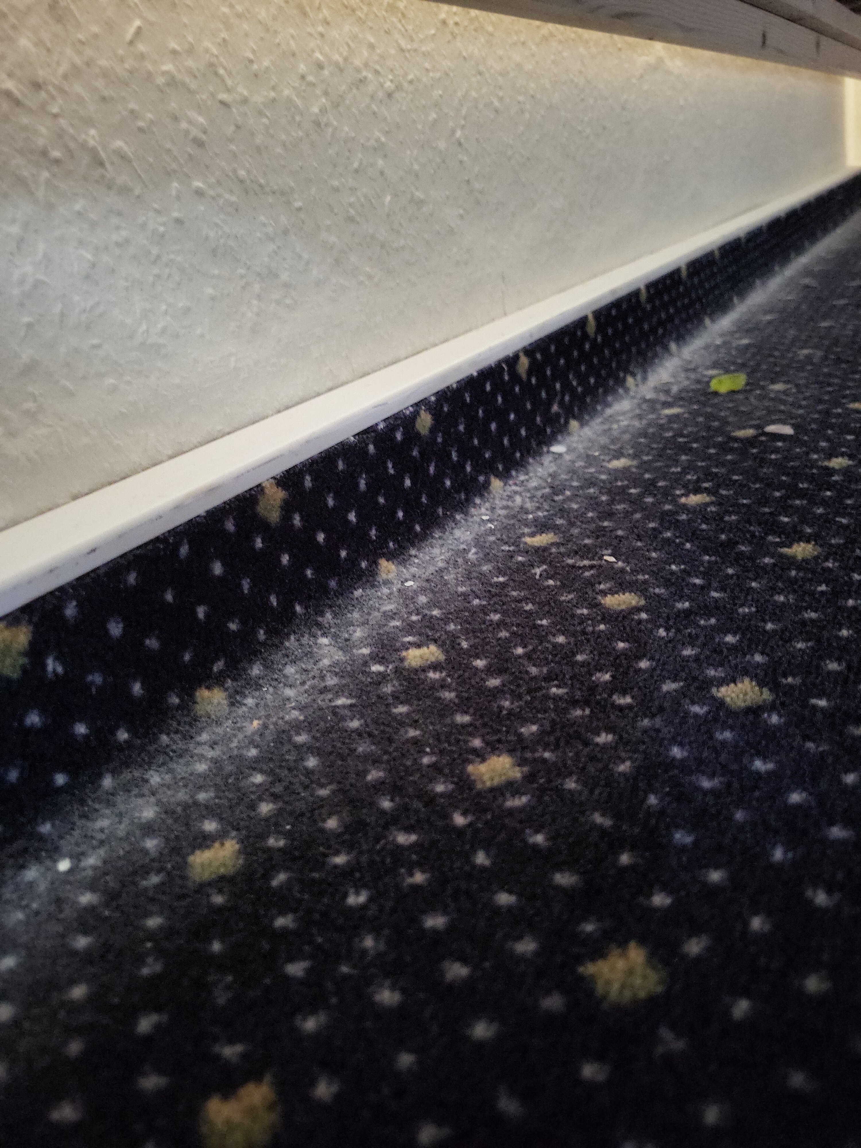 AHORN Berghotel Friedrichroda-客卧