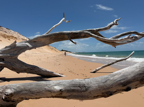 Bazaruto Incoming Agency-Vilanculos必去景点