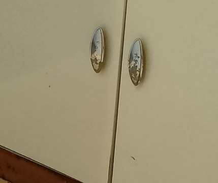 捷尼亚民宿主图