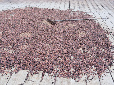 Fazenda Yrere-Ilheus必去景点