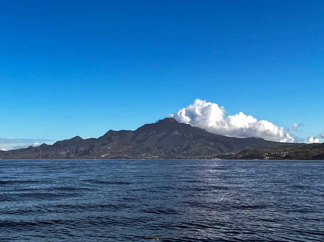 Carib Evasion-Case-Pilote必去景点