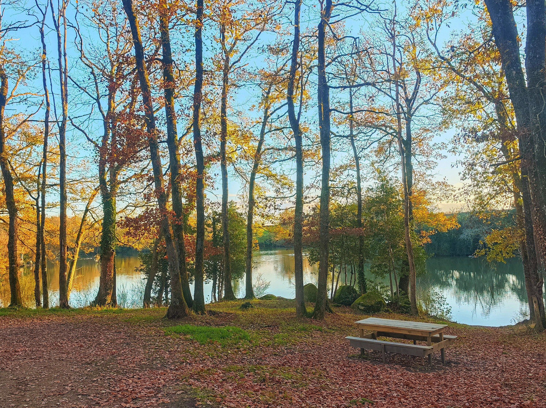 Etang de Bois Pouvreau et son chaos granitique-Menigoute必去景点