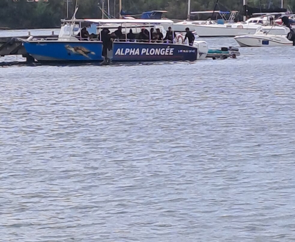 Alpha Plongée Martinique-Les Anses d'Arlet必去景点