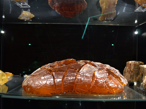 Museum of Amber - Museum of Gdansk-格但斯克必去景点