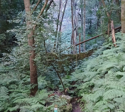 Cubo de la Galga-La Palma必去景点